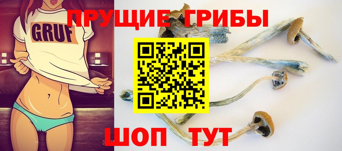Галлюциногенные грибы Magic Shrooms  купить закладку  Шатура  Вход с VPN 